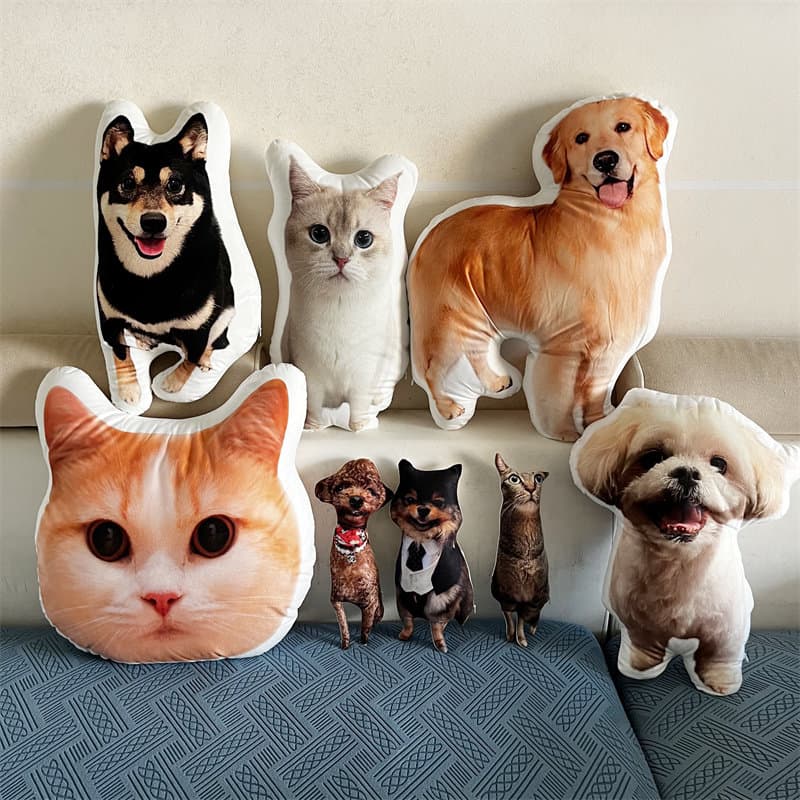 Custom Shaped Pillow
